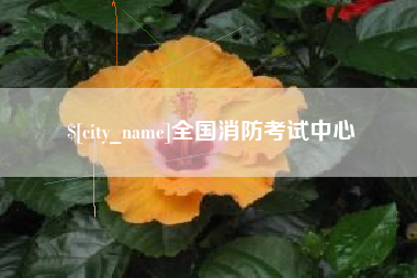 盘锦全国消防考试中心