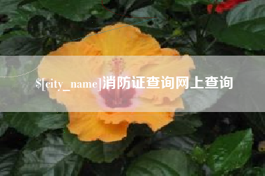 盘锦消防证查询网上查询