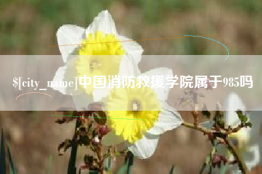 盘锦中国消防救援学院属于985吗