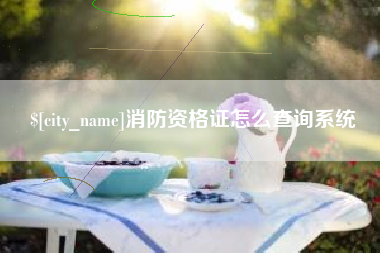 盘锦消防资格证怎么查询系统