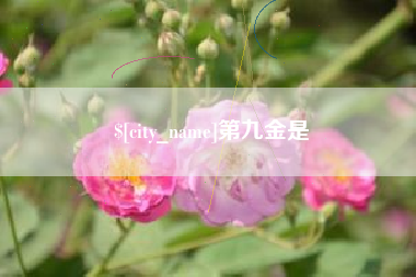 盘锦第九金是