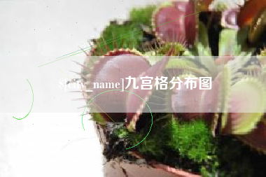 盘锦九宫格分布图