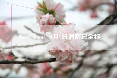 盘锦11月9日消防日全称