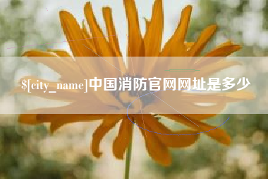 盘锦中国消防官网网址是多少