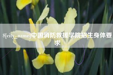 盘锦中国消防救援学院招生身体要求