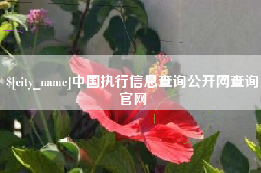 盘锦中国执行信息查询公开网查询官网