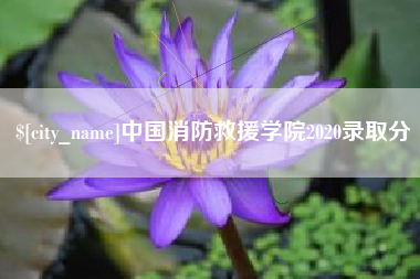盘锦中国消防救援学院2020录取分