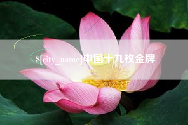 盘锦中国十九枚金牌