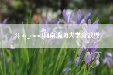 盘锦河南消防大学分数线