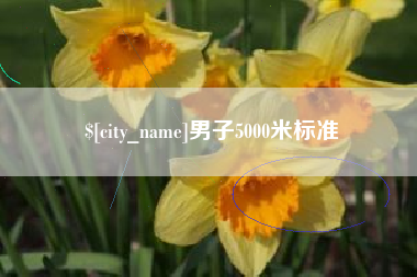 盘锦男子5000米标准