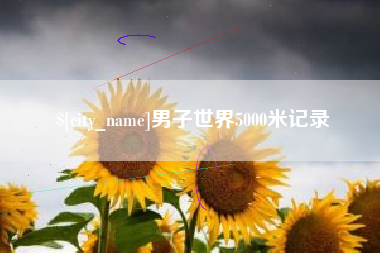 盘锦男子世界5000米记录
