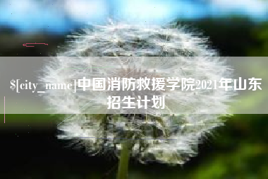 盘锦中国消防救援学院2021年山东招生计划