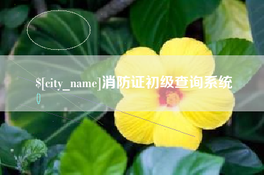 盘锦消防证初级查询系统