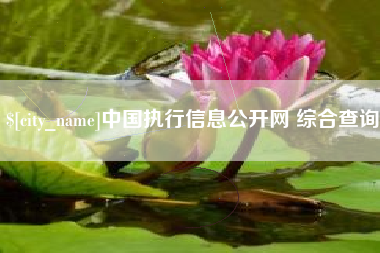 盘锦中国执行信息公开网 综合查询