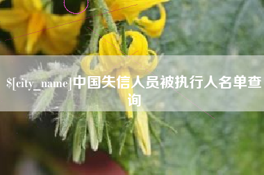 盘锦中国失信人员被执行人名单查询