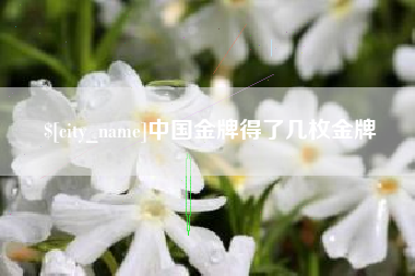 盘锦中国金牌得了几枚金牌