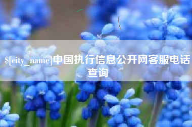 盘锦中国执行信息公开网客服电话查询