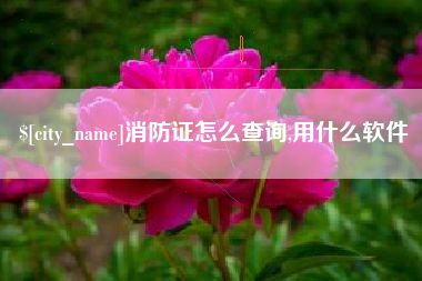 盘锦消防证怎么查询,用什么软件