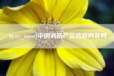 盘锦中国消防产品信息网官网