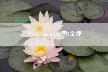 盘锦中国9金牌