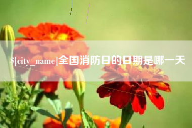 盘锦全国消防日的日期是哪一天