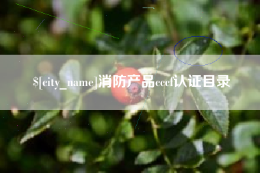 盘锦消防产品cccf认证目录