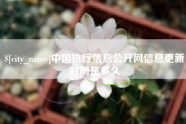 盘锦中国执行信息公开网信息更新时间是多久