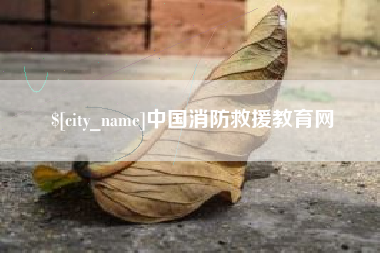 盘锦中国消防救援教育网