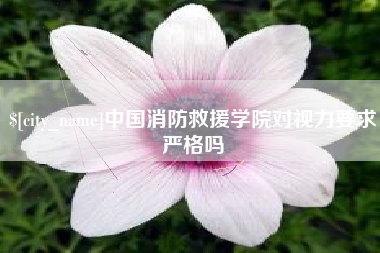 盘锦中国消防救援学院对视力要求严格吗