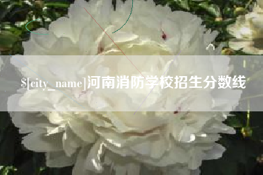 盘锦河南消防学校招生分数线