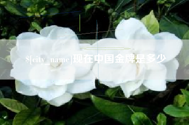盘锦现在中国金牌是多少