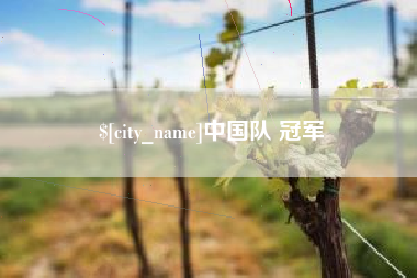 盘锦中国队 冠军