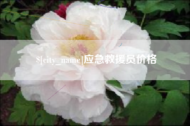 盘锦应急救援员价格