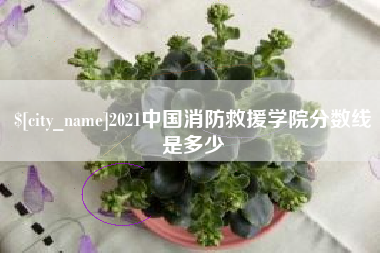 盘锦2021中国消防救援学院分数线是多少