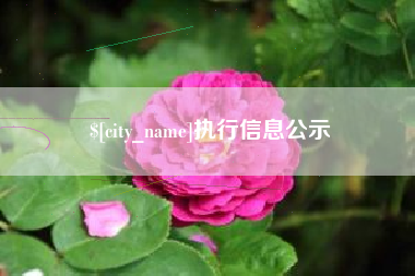 盘锦执行信息公示