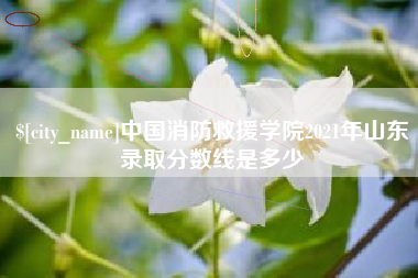 盘锦中国消防救援学院2021年山东录取分数线是多少