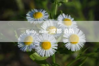 盘锦成都 消防