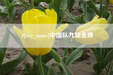 盘锦中国队九块金牌