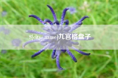 盘锦九宫格盘子
