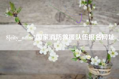 盘锦国家消防救援队伍报名网址