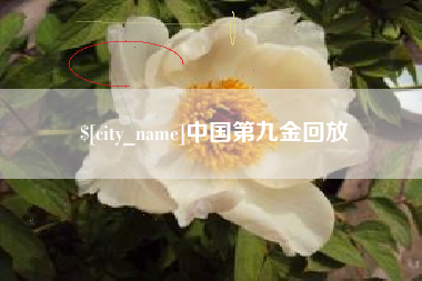 盘锦中国第九金回放