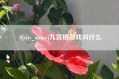 盘锦九宫格游戏叫什么