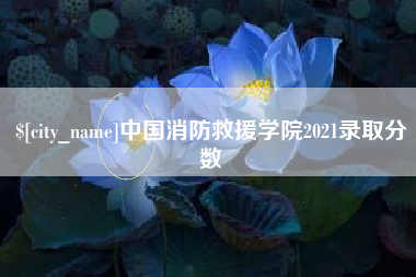 盘锦中国消防救援学院2021录取分数