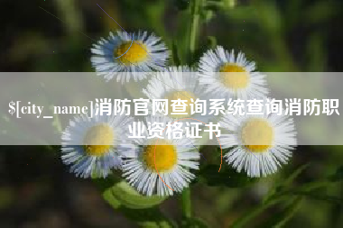 盘锦消防官网查询系统查询消防职业资格证书