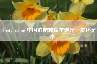 盘锦中国消防救援学院是一本还是二本