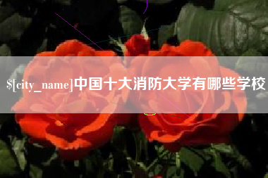 盘锦中国十大消防大学有哪些学校