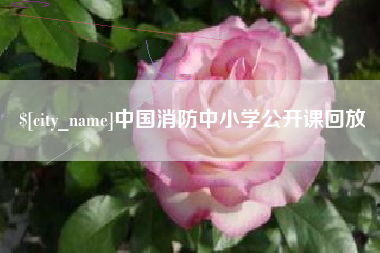 盘锦中国消防中小学公开课回放