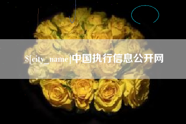 盘锦中国执行信息公开网