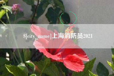 盘锦上海消防员2021