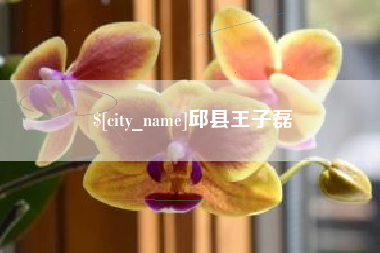 盘锦邱县王子磊